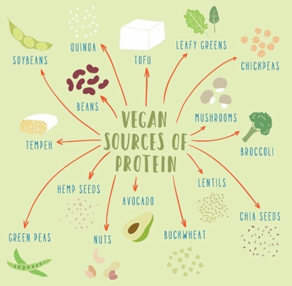 Tips for Newbie Endurance Athletes on a Plant-Based Diet