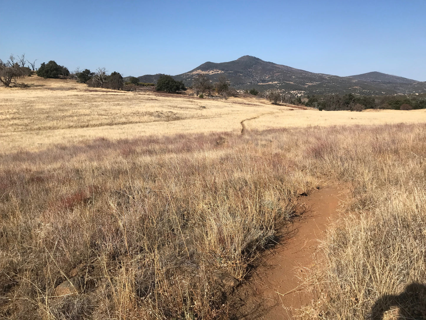 5 Ways to Breathe New Life into Your Endurance Routine
