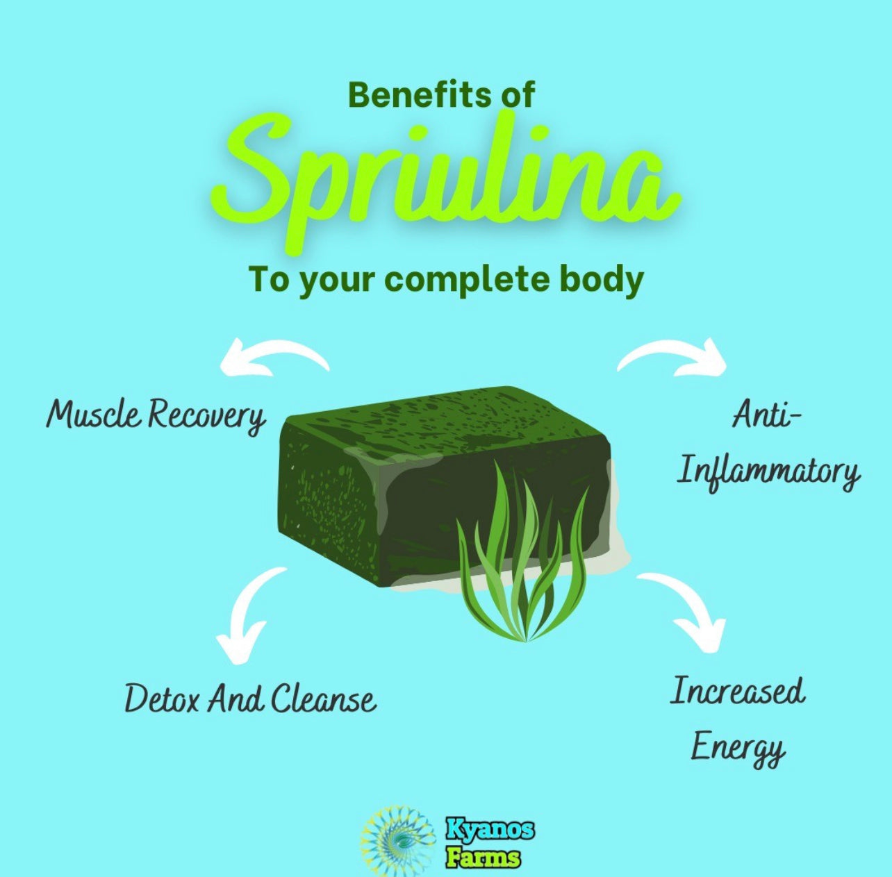 Why Fresh Spirulina Is Better from Team VPA Partner Kyanos Farms