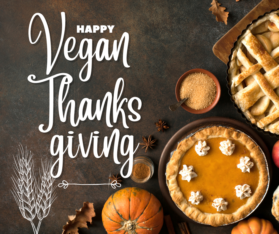 A Vegan's Guide to Navigating Thanksgiving with Non Vegan Friends and Family