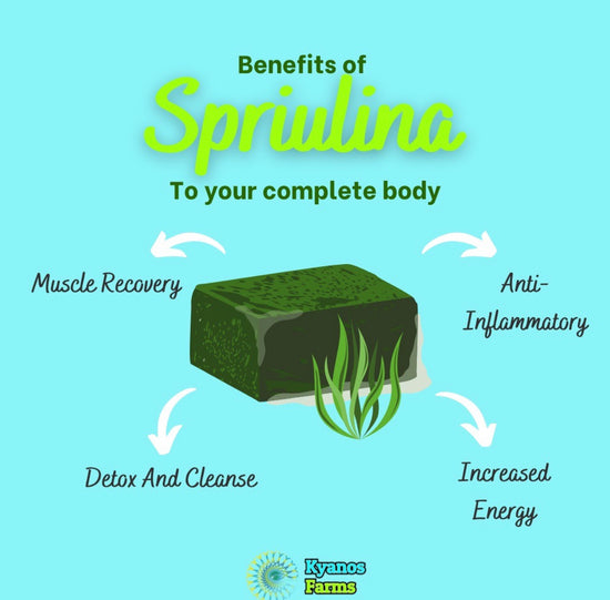 Why Fresh Spirulina Is Better from Team VPA Partner Kyanos Farms