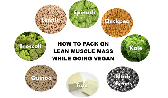 How to Pack on Lean Muscle Mass While Going Vegan